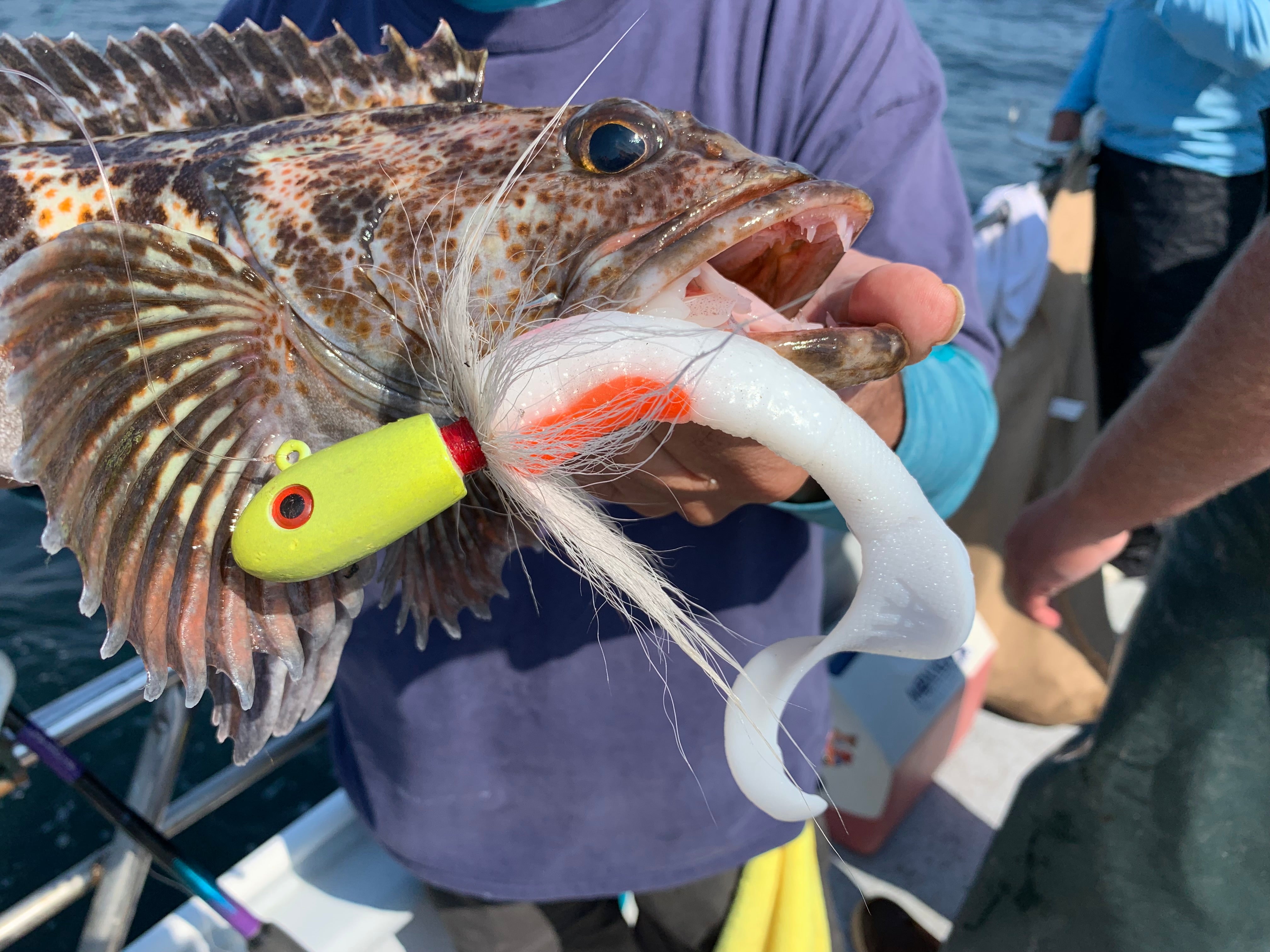 Harbor, Jetty & Pier Fishing Soft Plastis Kit – Sport Fishing with Dan  Hernandez