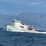 Sport King, 3/4 Day - Catalina Island, 07/10/25