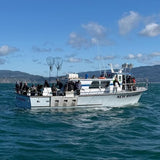 New Rayann, All Day - 09/26/26